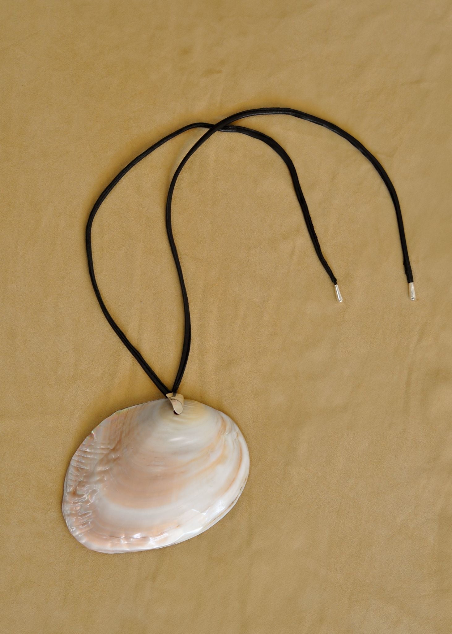 The Shell Belt